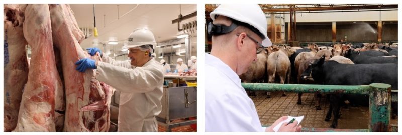 DVM Experiential Opportunity: USDA, Food Safety Inspection Service