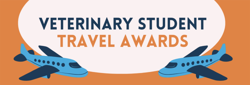 Graphic of two airplanes flying around a speak bubble that says "Veterinary Student Travel Awards".